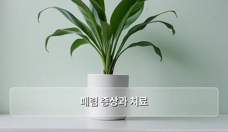 폐렴 증상과 치료 방법 및 예방 관리 총정리
