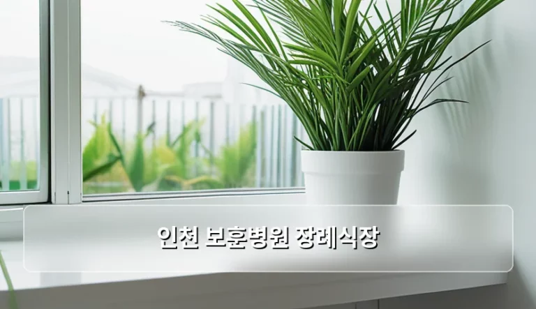 인천 보훈병원 장례식장 이용 방법과 보훈 대상자 예우 안내