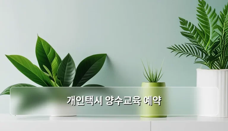 개인택시 양수교육 예약 방법과 주의사항 가이드