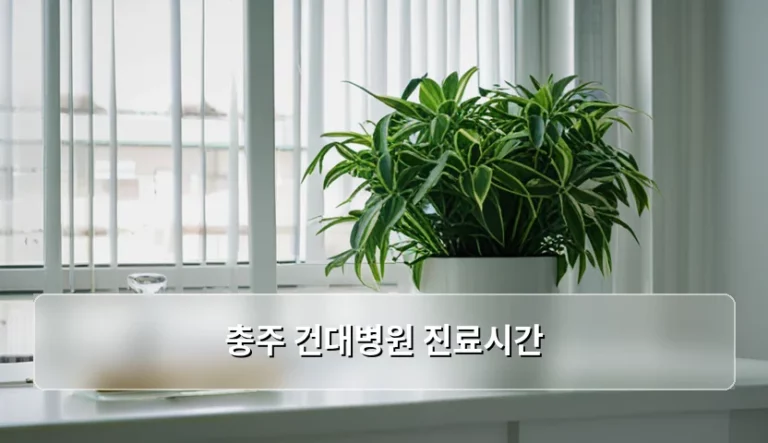 충주 건대병원 진료시간 및 방문 예약 안내