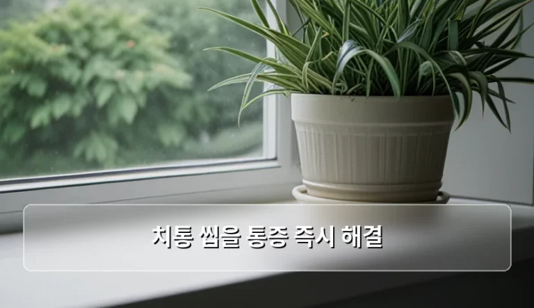 치통 씹을 통증 즉시 해결 방법과 원인별 대처법