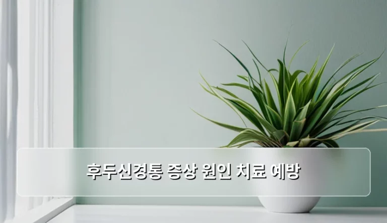 후두신경통 증상 원인 치료 예방 방법과 관리 가이드