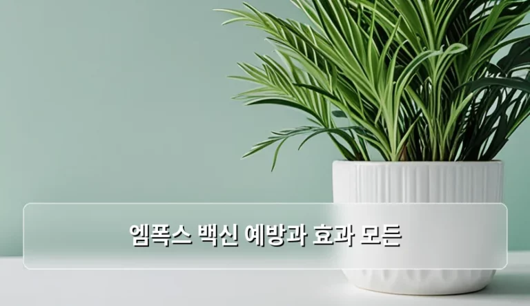 엠폭스 백신 예방과 효과 모든 정보 및 접종 가이드