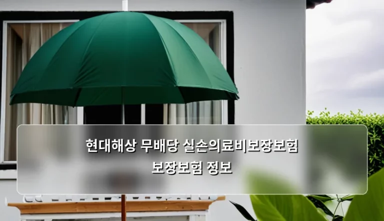 현대해상 무배당 실손의료비보장보험 보장보험 정보 및 선택 가이드