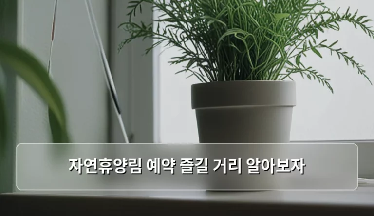 자연휴양림 예약 방법과 숲속 즐길 거리 가이드