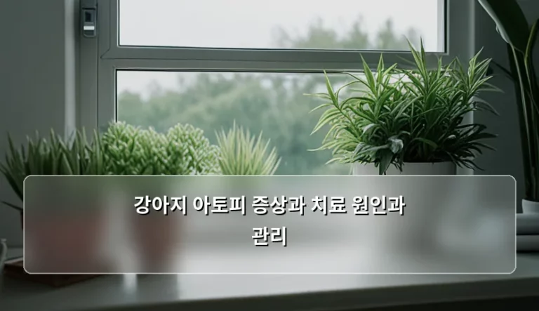 강아지 아토피 증상과 치료 원인과 관리 가이드