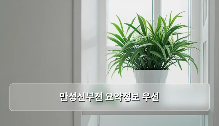 만성신부전 원인 증상 및 단계별 관리 방법