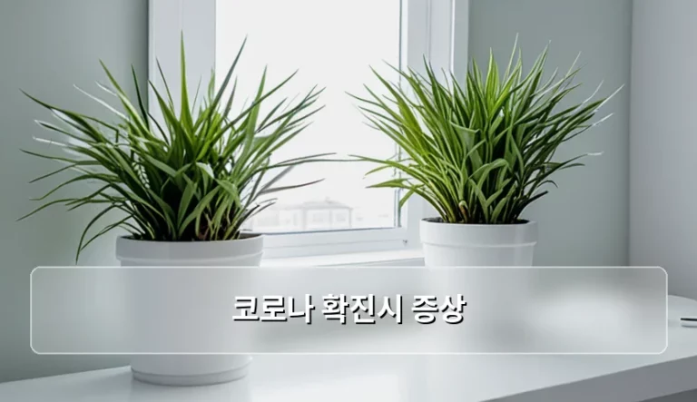 코로나 확진시 증상 특징과 회복 기간 및 주의사항
